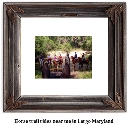 horse trail rides near me in Largo, Maryland